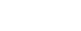 Save The Storks white logo link to savethestorks.com